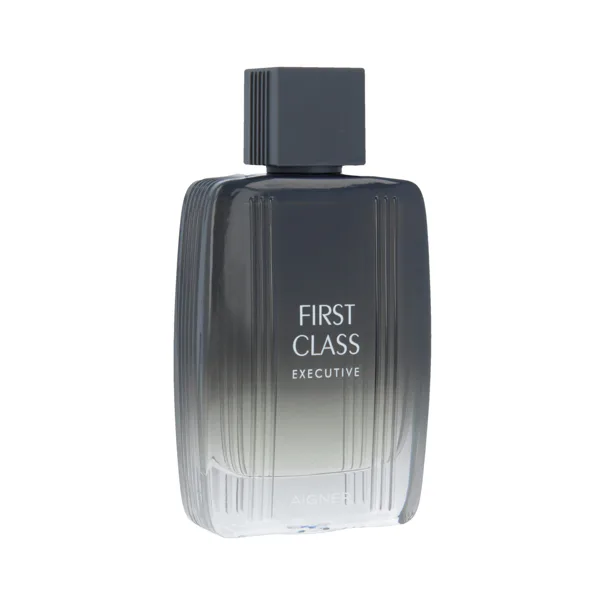 aigner first class executive woda toaletowa 100 ml     