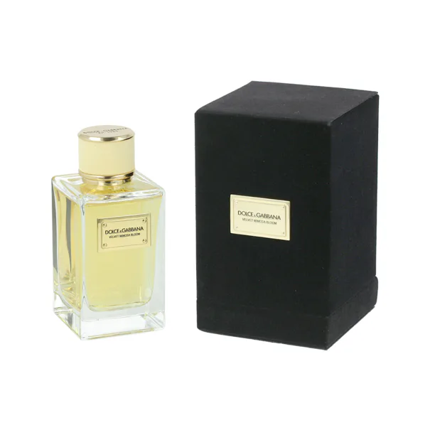 dolce & gabbana velvet mimosa bloom